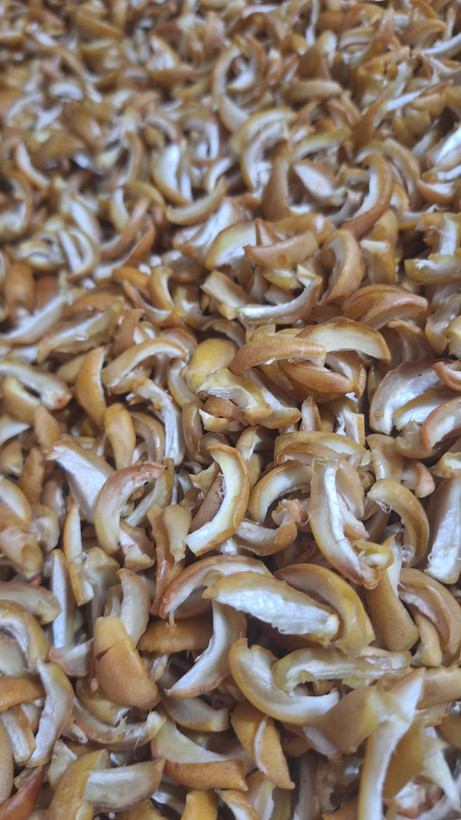 چیپس خرما ممتاز برحی - 500 گرمی