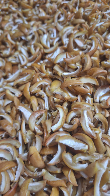 چیپس خرما ممتاز برحی - 500 گرمی