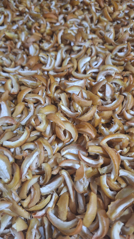 چیپس خرما ممتاز برحی - 500 گرمی